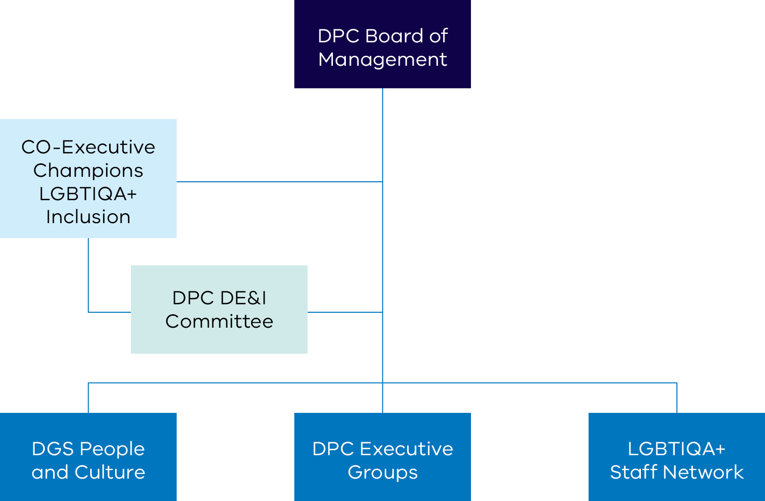 Organisation chart showing accountability and reporting lines for the LGBTIQA+ plan. Full description below